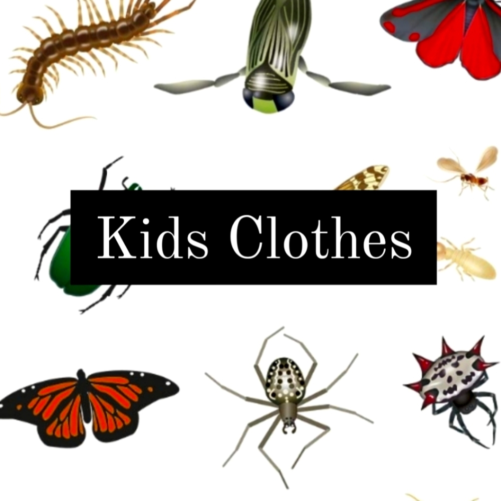 Kids clothes